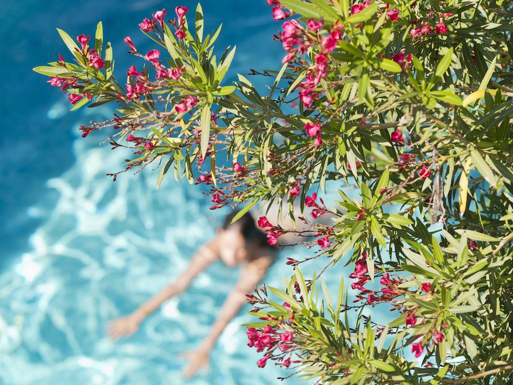 Le Val Duchesse Hotel & Appartements Cagnes-sur-Mer Exterior photo